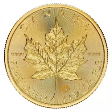 1 oz Gold Canadian Maple Leaf Coin 2026