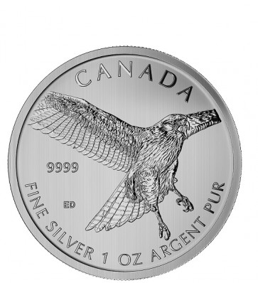 1 oz RCM Birds of Prey Series Red Tail Hawk coin 2015