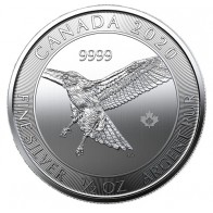  1/2 oz Silver RCM Red-Tailed Hawk Coin 