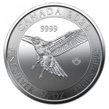  1/2 oz Silver RCM Red-Tailed Hawk Coin 